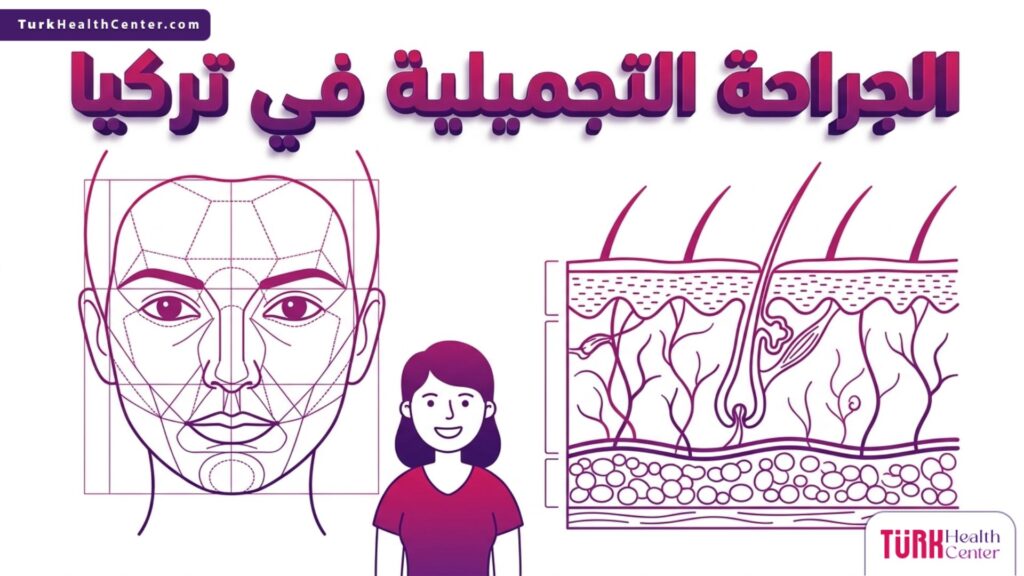 رسم توضيحي طبي يبرز المقاييس العلمية والجمالية الدقيقة عند إجراء الجراحة التجميلية في تركيا.