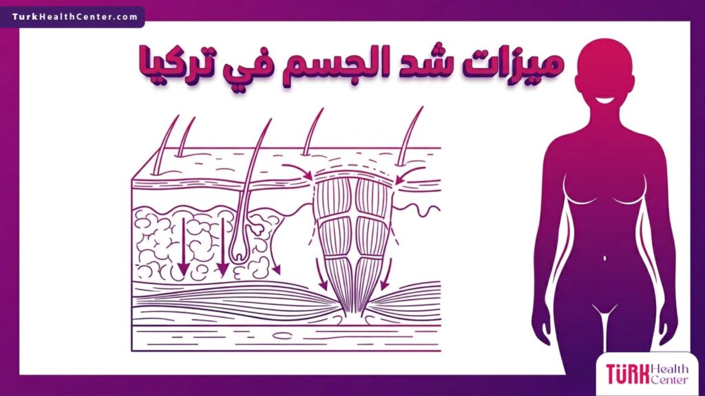 رسم بياني طبي يوضح التشريح الداخلي لطبقات الجلد والعضلات وكيفية الاستفادة من ميزات شد الجسم في تركيا.