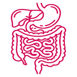 علاجات الجهاز الهضمي