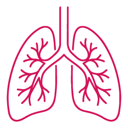 علاجات الجهاز التنفسي