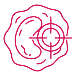 علم الأورام