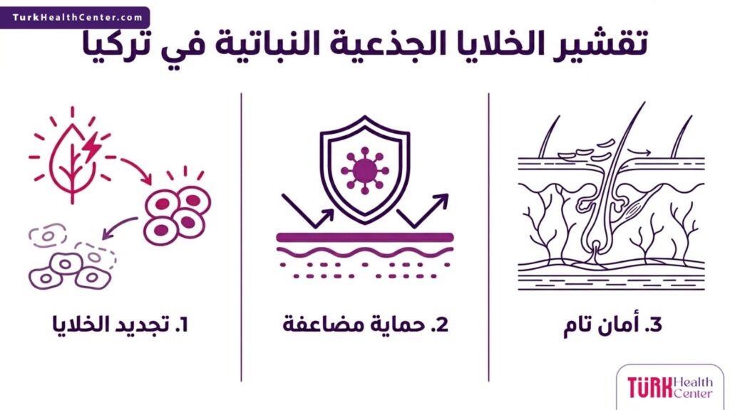 إنفوجرافيك طبي يبرز أهم ثلاث مراحل وفوائد لإجراء تقشير الخلايا الجذعية النباتية في تركيا.