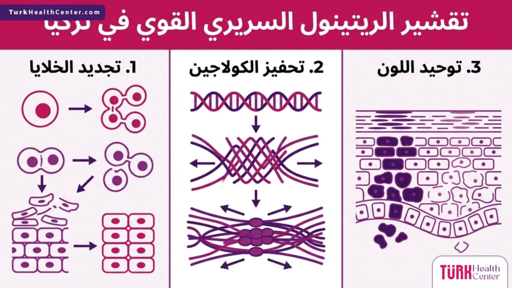 إنفوجرافيك طبي يوضح فوائد تقشير الريتينول السريري القوي في تركيا لتجديد الخلايا وتحفيز الكولاجين