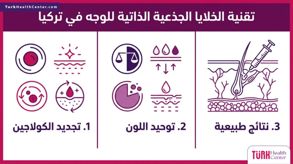 إنفوجرافيك يوضح أهم فوائد تقنية الخلايا الجذعية الذاتية للوجه في تركيا من تجديد الكولاجين وتوحيد لون البشرة.