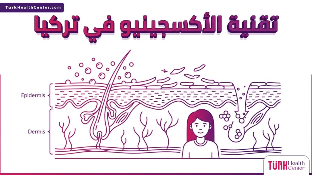 رسم تشريحي دقيق يوضح تأثير تقنية الأكسجينيو في تركيا على طبقات الجلد وتجديد الخلايا.