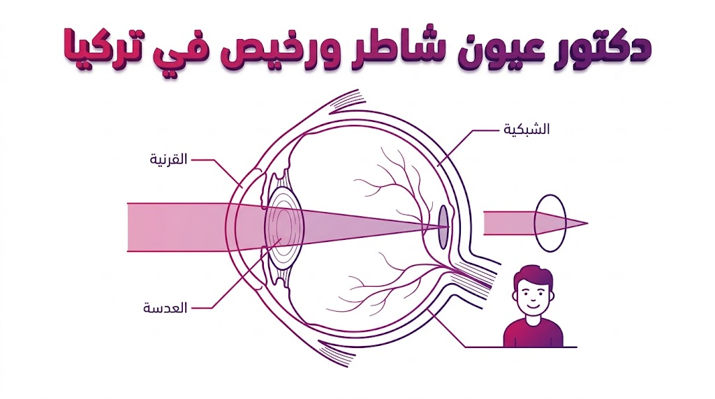  إنفوجرافيك تشريحي يوضح تفاصيل العين والتقنيات المستخدمة من قبل دكتور عيون شاطر ورخيص في تركيا.