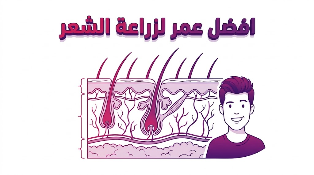 إنفوجرافيك طبي يشرح التشريح العلمي للبصيلات والوقت المثالي الذي يمثل افضل عمر لزراعة الشعر.