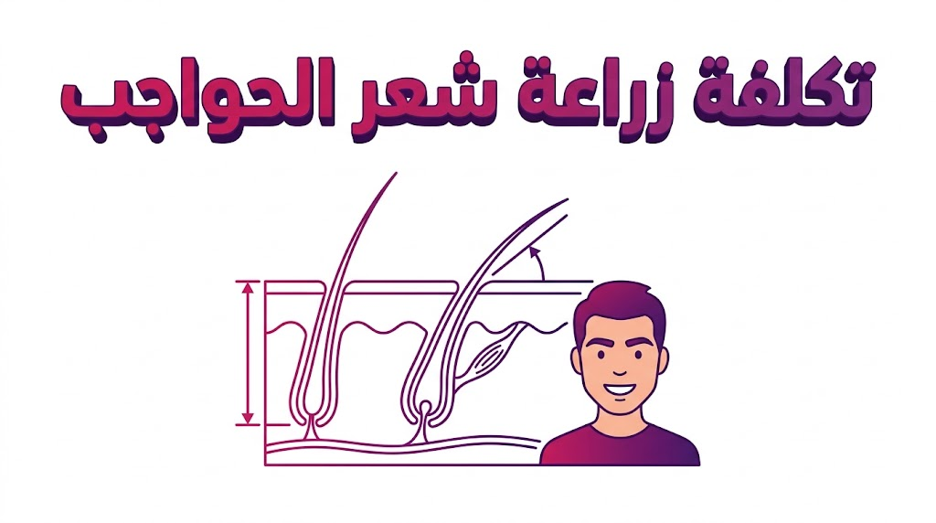 مخطط تشريحي طبي يوضح تقنيات و تكلفة زراعة شعر الحواجب بشكل علمي ومبسط.