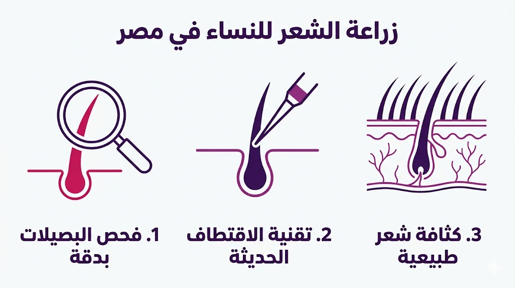  بوستر إنفوجرافيك يوضح مراحل زراعة الشعر للنساء في مصر من الفحص والاقتطاف حتى الحصول على الكثافة المطلوبة.
