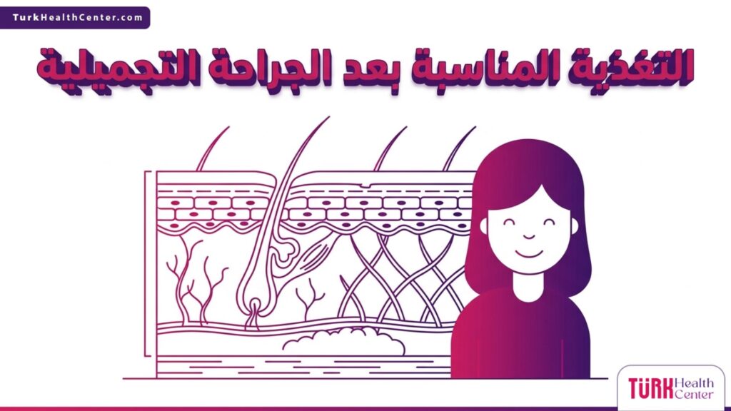 إنفوجرافيك تشريحي يوضح كيف تدعم التغذية المناسبة بعد الجراحة التجميلية تجديد الخلايا وإنتاج الكولاجين.