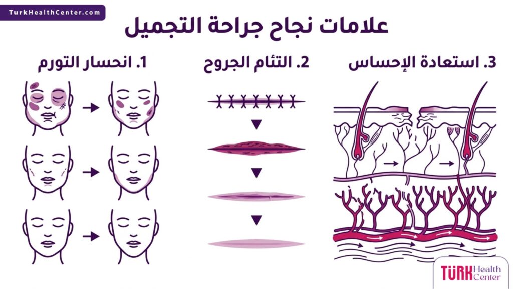 إنفوجرافيك يشرح بشكل مبسط وعلمي 3 مؤشرات أساسية تمثل علامات نجاح جراحة التجميل.