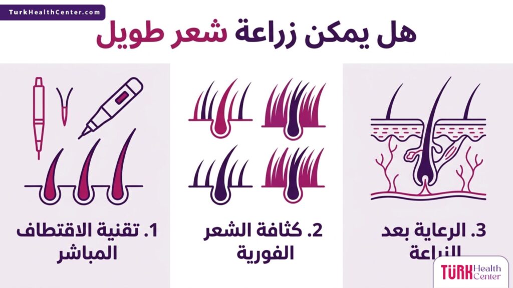 إنفوجرافيك طبي يشرح بالتفصيل هل يمكن زراعة شعر طويل عبر ثلاث خطوات علمية مبسطة