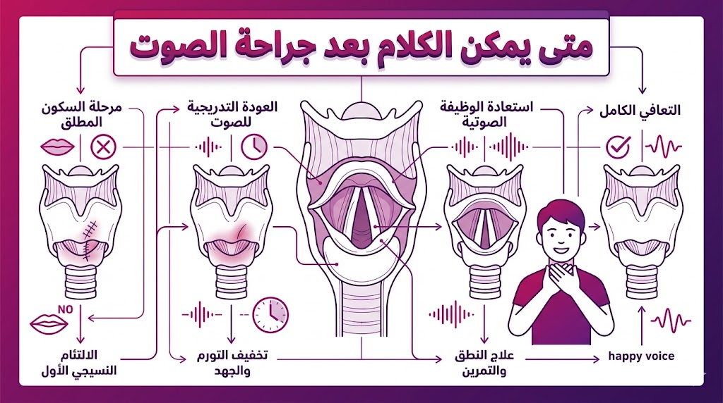إنفوجرافيك تشريحي يوضح هيكل الحنجرة الداخلي لفهم متى يمكن الكلام بعد جراحة الصوت.