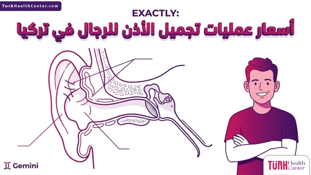 مخطط إنفوجرافيك طبي يوضح تشريح غضاريف الأذن تزامناً مع البحث عن أسعار عمليات تجميل الأذن للرجال في تركيا.