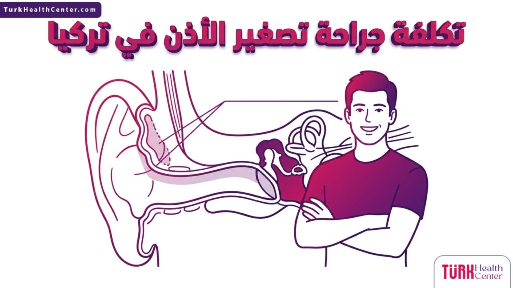 مخطط إنفوجرافيك طبي يوضح تفاصيل غضروف الأذن المتعلقة بتكلفة جراحة تصغير الأذن في تركيا