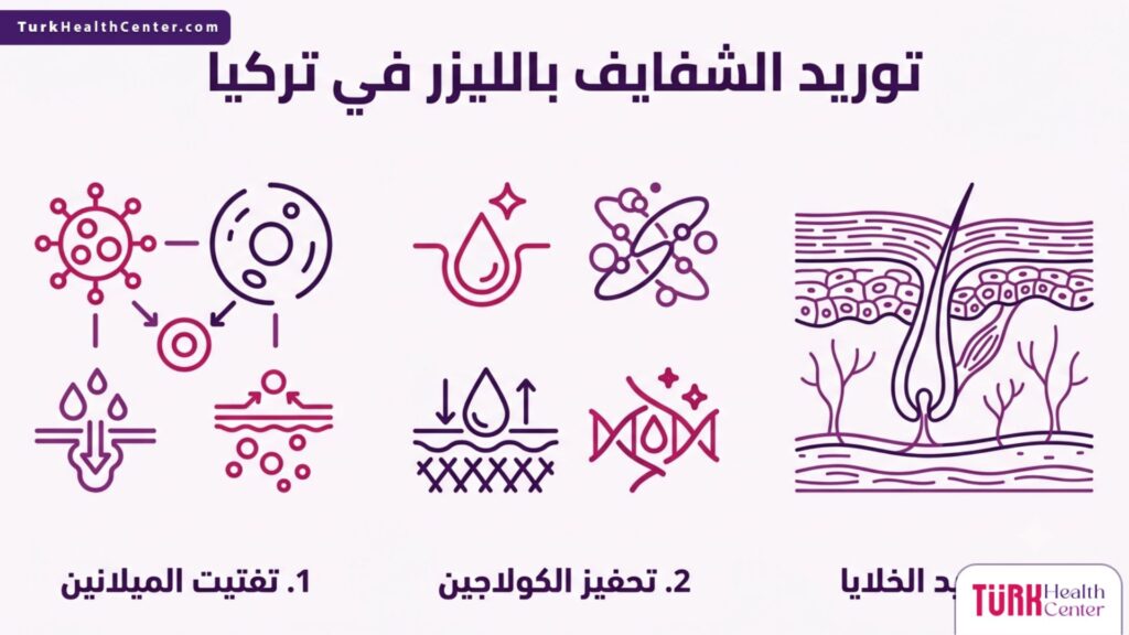 إنفوجرافيك علمي يلخص آلية عمل ومزايا توريد الشفايف بالليزر في تركيا في ثلاث خطوات رئيسية.