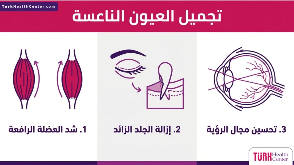 إنفوجرافيك طبي يستعرض 3 خطوات وفوائد أساسية لعملية تجميل العيون الناعسة.